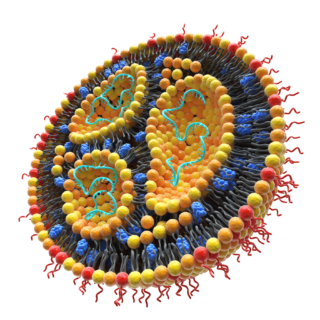 Lipid-based nanoparticles
