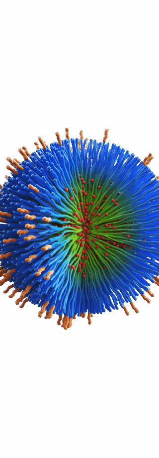 Deciphering the Complex Characteristics of Nanomedicine