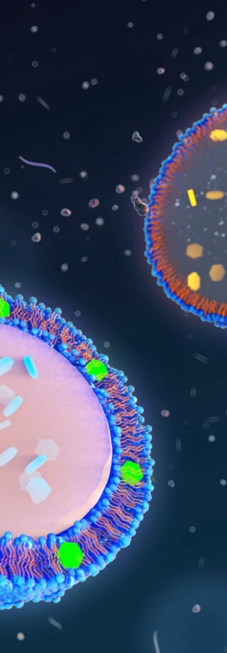 Advancing Pharmaceutical Production: The Benefits of Flow Manufacturing for Nanomedicines